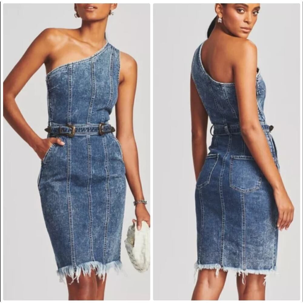 Retrofete Dress Womens XS Denim Midi Giorgio Sheath Belted Western Fringe